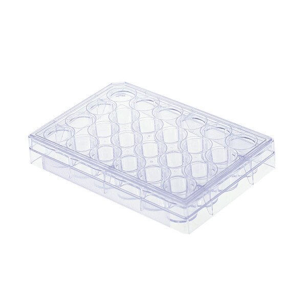 24 Well Cell Culture Plate